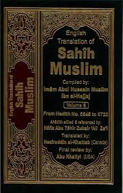 Sahih Muslim Vol 6